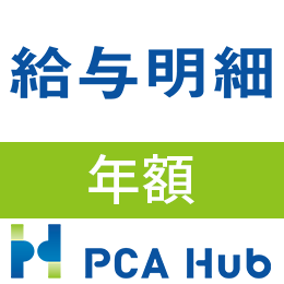 PCA Hub 給与明細(年額)