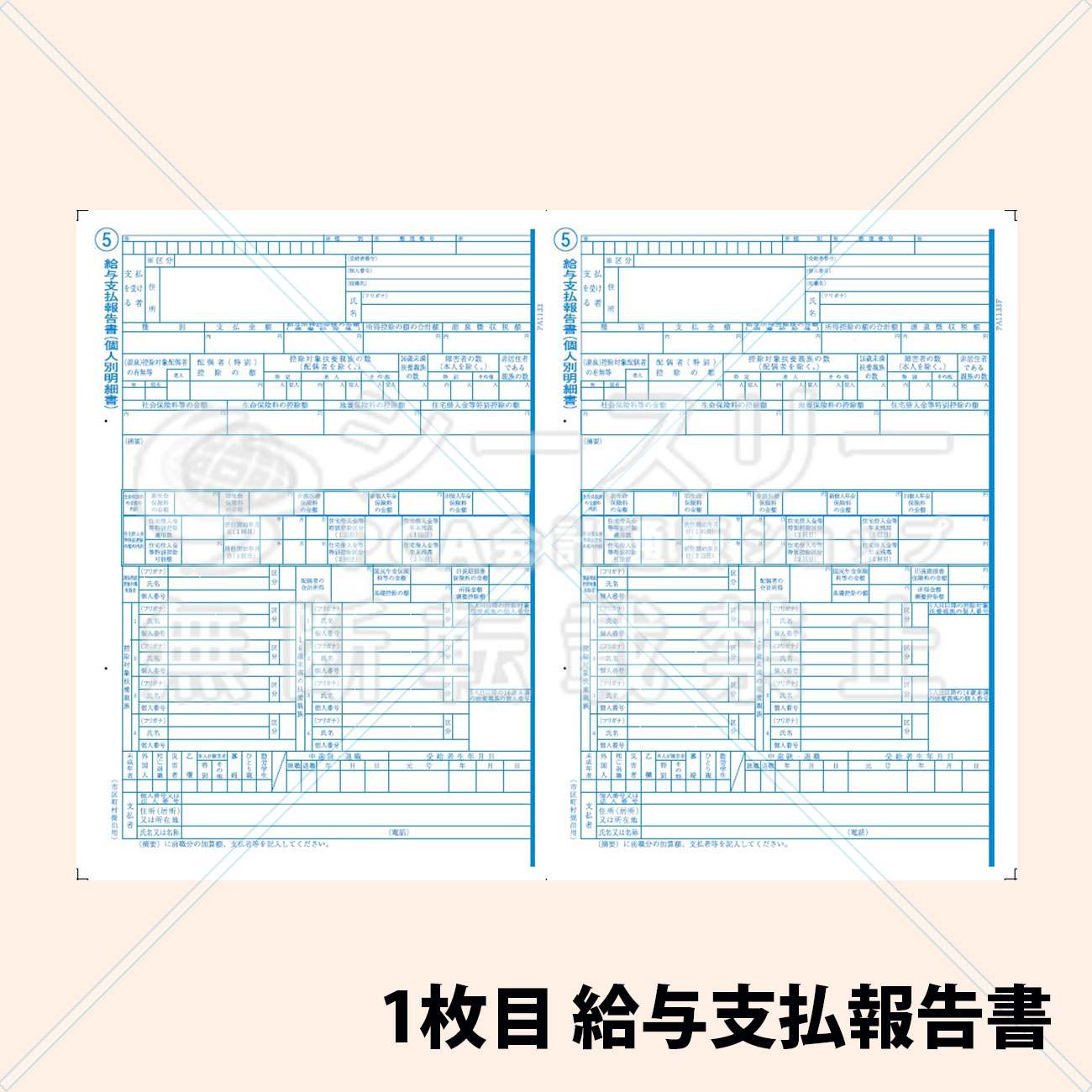 小分け　PA1133F 源泉徴収票(10名入) 単票用紙レーザープリンタ用【令和4年度版】