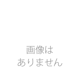 【販売終了】PA1132GA【旧:PA1132FA】 令和9年 退職者用源泉徴収票(50名入) 単票用紙レーザープリンタ用